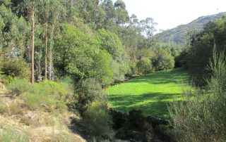 caminhada rio vouga oliveira de frades serra do caramulo caminhando