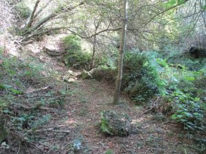 caminhada rio vouga oliveira de frades ribeira varzielas caminhando