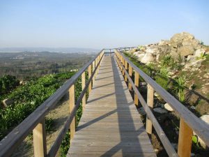 caminhada campia oliveira de frades