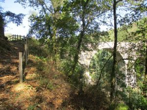 caminhada rio vouga oliveira de frades  ponte do cunhedo caminhando