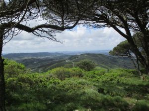 caminhada serra de montejunto caminhando