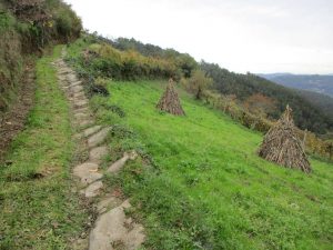 caminhada vale do urtigosa arouca caminhando