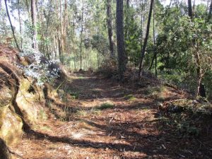 caminhada mansores arouca moinhos da barrosa caminhando