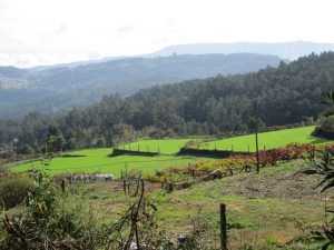 caminhada mansores arouca moinhos da barrosa caminhando