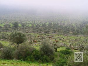 caminhada minde rota dos frades ventas do diabo serra de aire serra de santo antonio caminhando