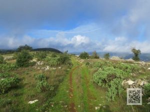 caminhada minde rota dos frades ventas do diabo serra de aire serra de santo antonio caminhando