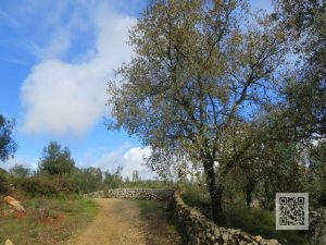 caminhada vale dos poios redinha serra do sico pombal caminhando
