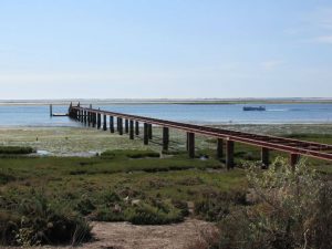 caminhada ria formosa olhao caminhando