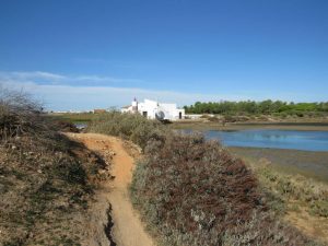 caminhada ria formosa olhao caminhando
