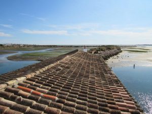 caminhada ria formosa olhao caminhando