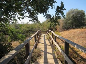 caminhada ria formosa olhao caminhando