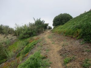 caminhada ribamar porto dinheiro caminhando