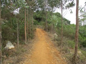 caminhada ribamar cabeço da pedro do sino caminhando