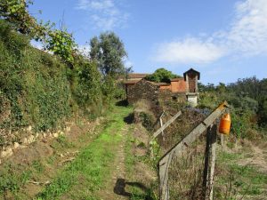 caminhada trilho dos 3 rios albergaria-a-velha pateira de fermentelos caminhando