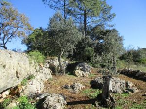 caminhada baloiço do talegre serra de alburitel ourem caminhando