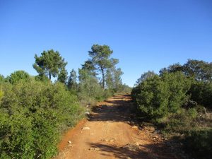 caminhada baloiço do talegre serra de alburitel ourem caminhando