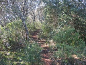 caminhada baloiço do talegre serra de alburitel ourem caminhando