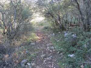caminhada baloiço do talegre serra de alburitel ourem caminhando