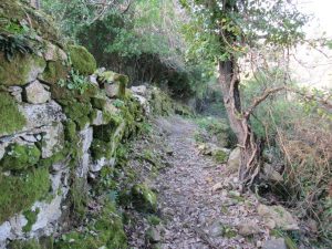 caminhada sobral de monte agraco alqueidao bosques caminhando
