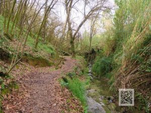 caminhada trilho da amazonia maceira leiria