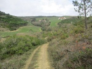 caminhada cascatas ribeira do boicao bucelas caminhando
