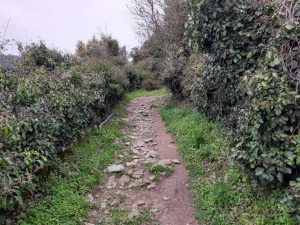 serra de são mamede alegrete portalegre caminhando