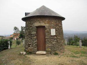 caminhada mata bussaco caminhando
