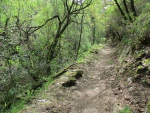 caminhada ribeira fraga mortagua caminhando