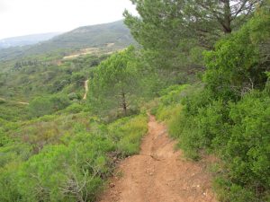 caminhada palmela serra gaiteiros caminhando
