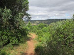 caminhada palmela serra gaiteiros caminhando