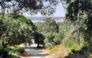 caminhada barreiro mata da machada caminhando