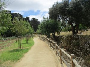 caminhada ribeira de vinhas cascais caminhando
