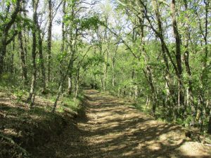 caminhada sabugal foios nascente rio coa caminhando