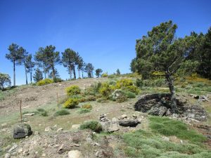 caminhada sabugal foios nascente rio coa serra das mesas caminhando