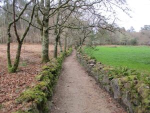 caminhada santiago compostela finisterra caminhando