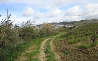caminhada serra da vila castro zambujal torres vedras caminhando