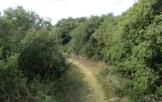 caminhada serra da vila castro zambujal torres vedras caminhando