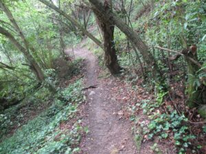 caminhada colares lagos monserrate serra sintra caminhando