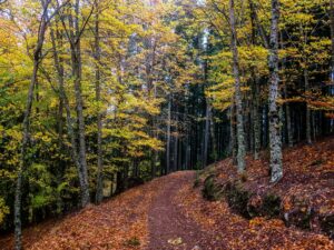 caminhada serra da estrela rota das faias vale de beijames caminhando