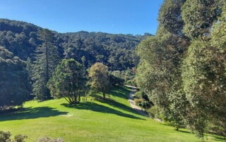 caminhada-visita-palacio-monserrate-meditação-caminhando