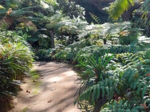 caminhada-meditacao-serra-sintra-caminhando