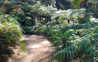 caminhada-meditacao-serra-sintra-caminhando