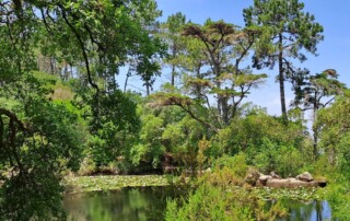 caminhada-monserrate-serra-sintra-meditacao-caminhando