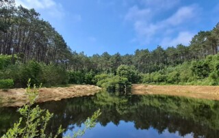 caminhada-meditação-serra-sintra-mosqueiros-caminhando