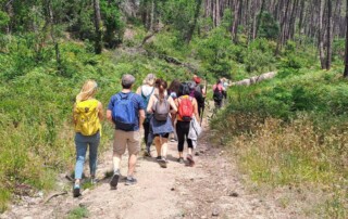 caminhada-meditação-serra-sintra-caminhando