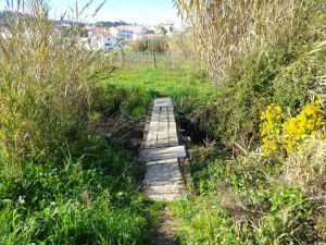 Caminhando: Ó da Guarda, Olha o Lobo