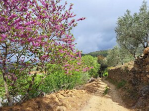 caminhada-rio-varosa-monges-caminhando
