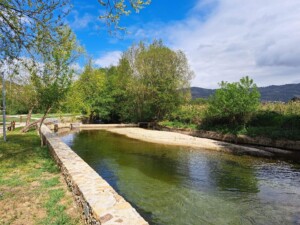 caminhada-sao-joao-tarouca-monges-caminhando