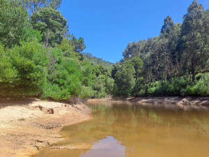 caminhada-meditacao-serra-sintra-caminhando