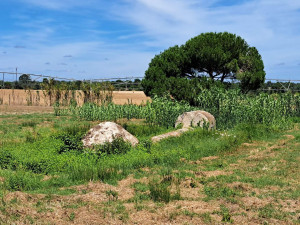 caminhada-santo-isidro-pegoes-caminhando